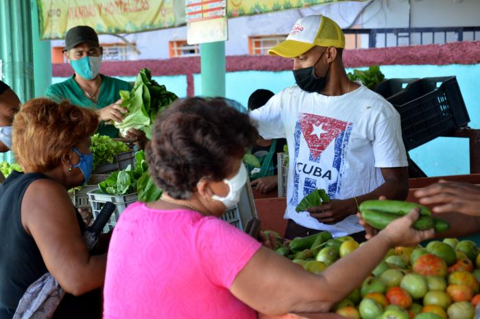 Recorrido por agros y plazas de la capital, precios, suministros y calidad de los productos.