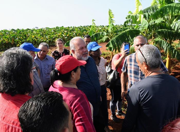 Marrero Cruz insistió en multiplicar experiencias que no dependan de la importación de alimento animal y que se sustenten en la voluntad de los productores. Foto: Estudios Revolución