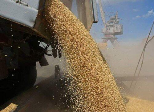 Cereales Rusia