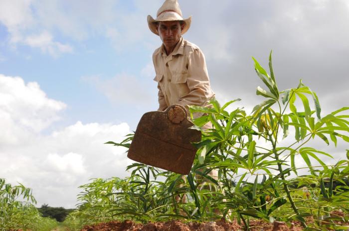 Entre los asuntos tratados estuvo la producción de alimentos. foto: vicente brito