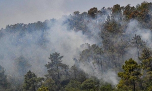 INCENDIO