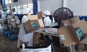 inversión extranjera