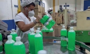 producción cooperada
