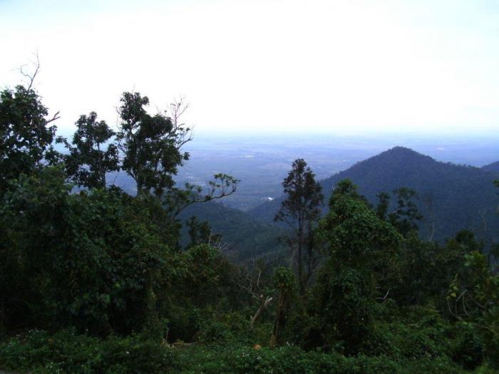 El doctor en Ciencias Biológicas René Pablo Capote López tuvo una participación destacada en la creación de la Reserva de la Biosfera Sierra del Rosario, la primera proclamada en Cuba por la Unesco en 1985. 