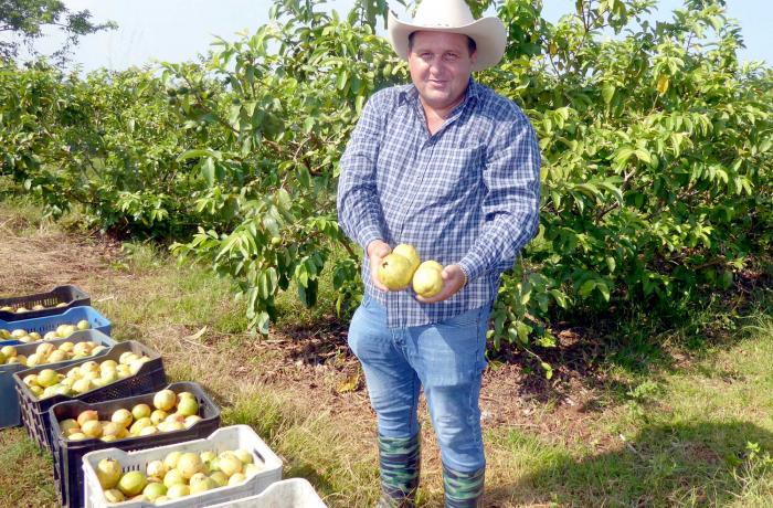 AGRICULTURA
