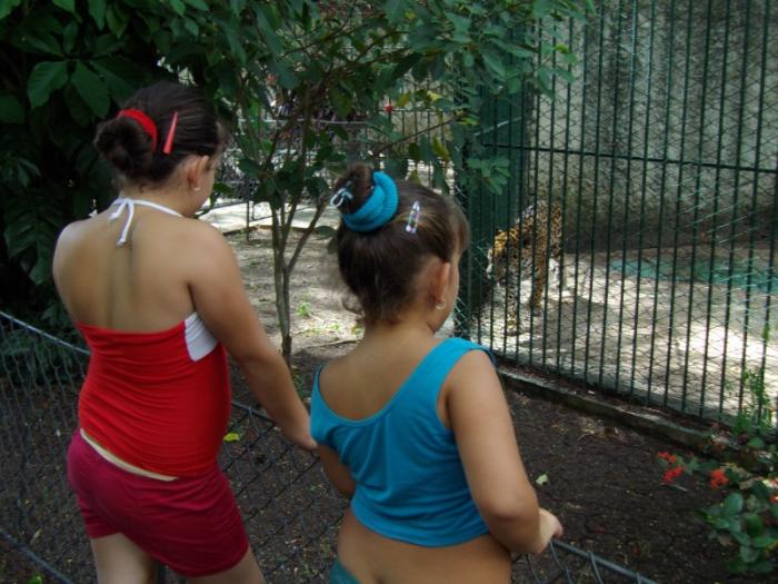 f0395713 Jardín Zoológico de Santa Clara, una de las principales opciones de los villaclareños en el verano