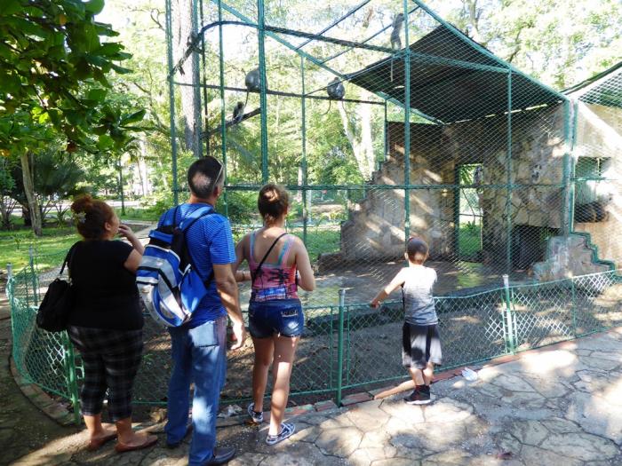 f0395731 Jardín Zoológico de Santa Clara, una de las principales opciones de los villaclareños en el verano
