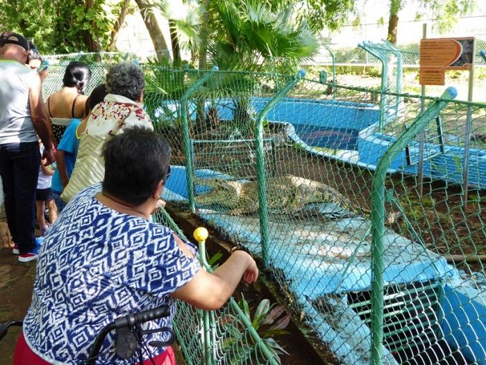 f0395749 Jardín Zoológico de Santa Clara, una de las principales opciones de los villaclareños en el verano