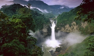 NATURALEZA