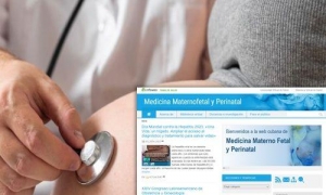 Sitio web Medicina Materno Fetal y Perinatal