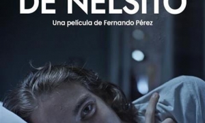 el mundo de nelsito