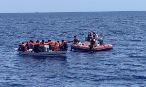 migrantes