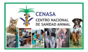 Cenasa