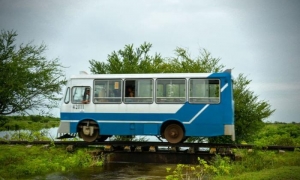 servicios de transportación por ferrobuses