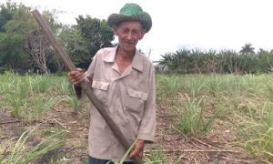 AGRICULTURA