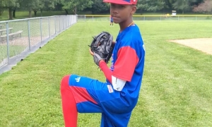 BESIBOL