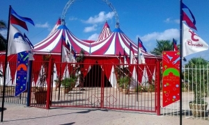 Carpa Trompoloco