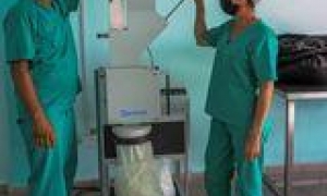 Inauguran en Pinar del Río fábrica para la producción de polvo de moringa