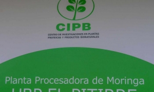 Inauguran en Pinar del Río fábrica para la producción de polvo de moringa