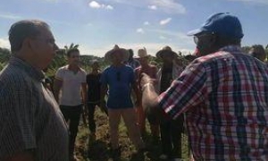 Recuperacion de polo constructivo en municipio Contramaestre