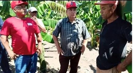 Producción intensiva de alimentos 