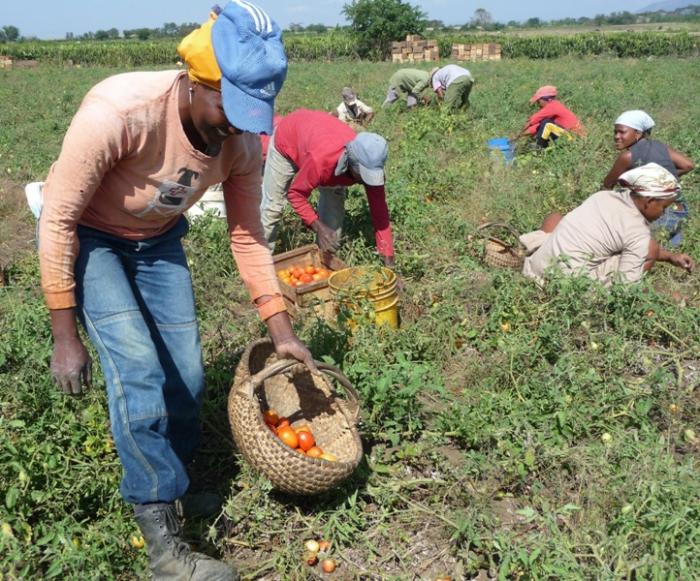 Día Internacional de la Mujer Rural