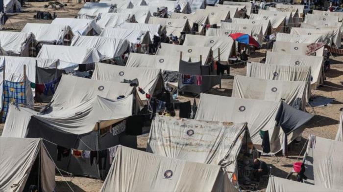 Palestinos desplazados en el Sur de Gaza