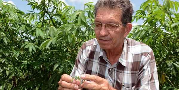 Sergio mereció, además, el reconocimiento como Cuadro Destacado del Estado y el Gobierno, otorgado por el Comandante en Jefe Fidel Castro.