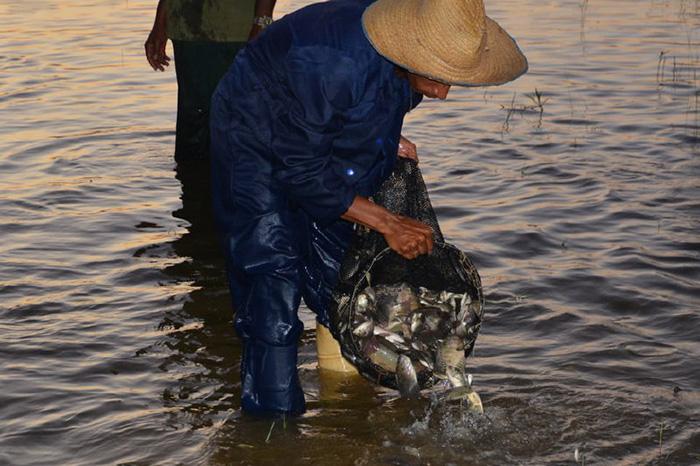 acuicultura