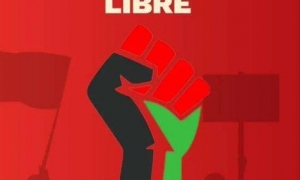 Marcha por Palestina