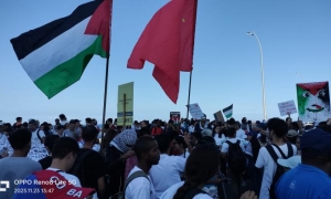 Marcha por Palestina