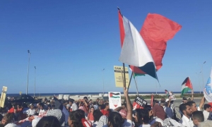 Marcha por Palestina