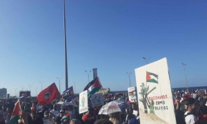 Marcha por Palestina