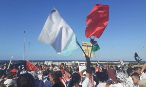 Marcha por Palestina