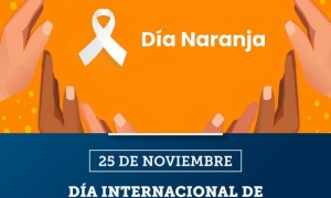Día Internacional de la Eliminación de la Violencia contra la Mujer