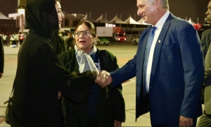 Recibimiento Diaz Canel