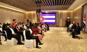 Miguel Díaz-Canel en Emiratos Arabes Unidos