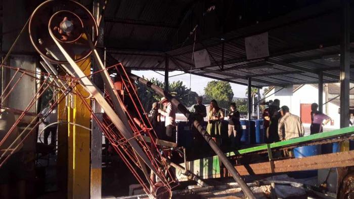 BioCubaCafé un proyecto que se consolida en el oriente cubano