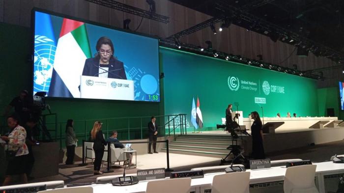 La ministra de Ciencia, Tecnología y Medio Ambiente de Cuba  demandó hoy un mayor liderazgo de los países desarrollados en el enfrentamiento al cambio climático