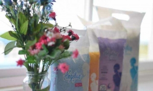 almohadillas sanitarias