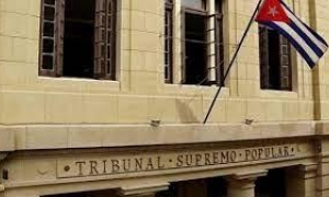 tribunal