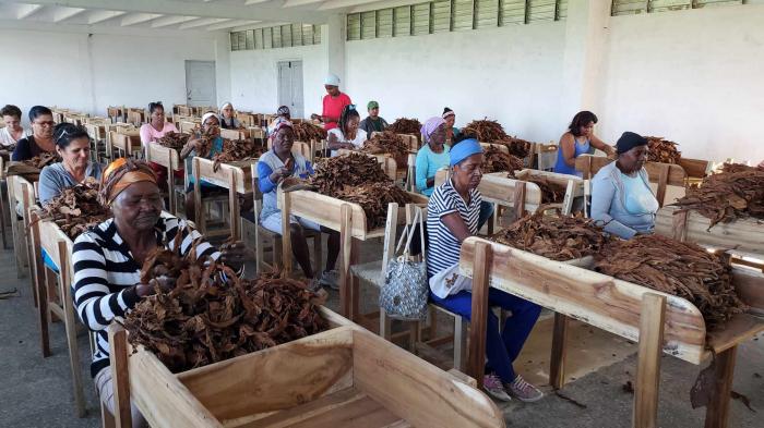 Se trata de construcciones sólidas que llevaban varios años en desuso.