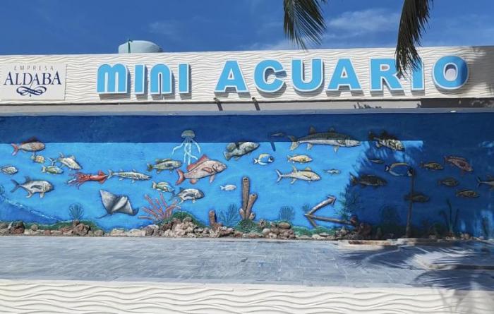 miniacuario en Trinidad