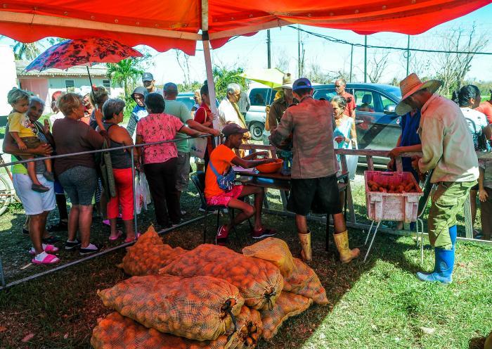 Labores de recuperación tras el paso del huracán Ian por la provincia Pinar del Río, Venta de productos del agro (papas) y productos lacteos, (yogurt) a pobladores de la Coloma, región por donde entro el ciclón