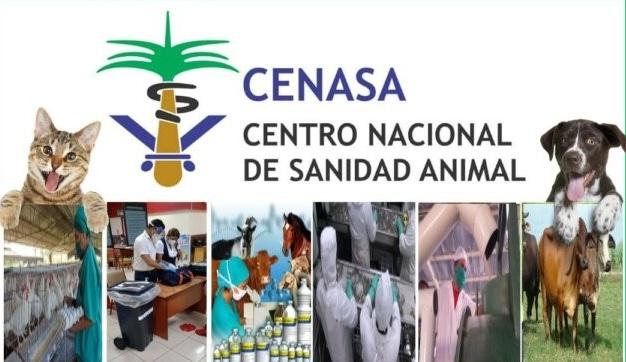 CENASA