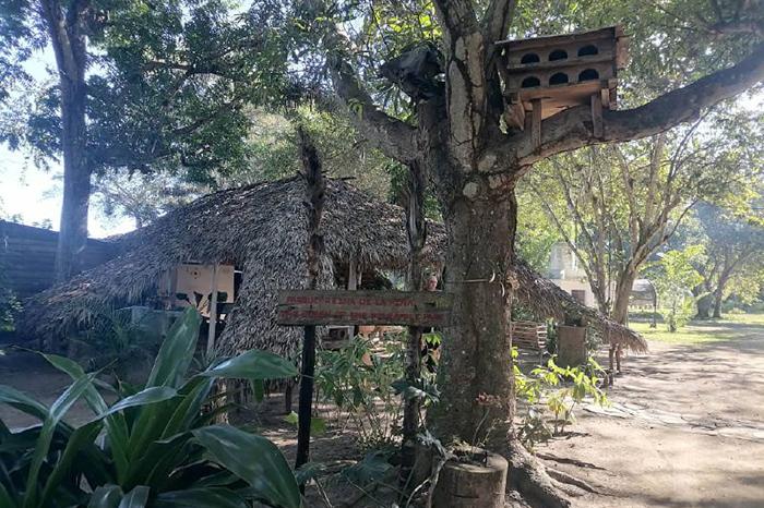 finca El Justo de Camagüey