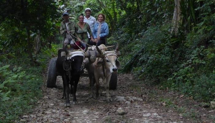  La «yuntón», en un tramo del camino que es Ruina francesa, delante, a la izquierda, José Ángel; al extremo derecho, la colombiana Dora Malo; atrás, el compadre Severino. Foto del autor