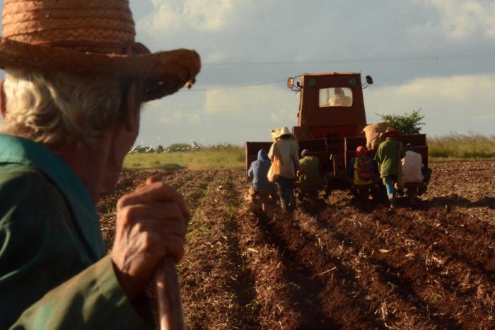 Incrementar la producción de alimentos