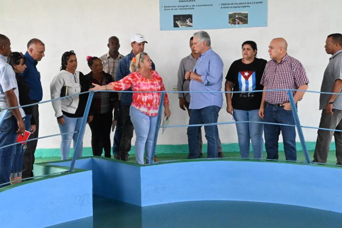 Díaz-Canel en Artemisa