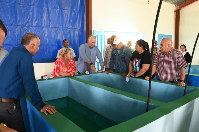 Díaz-Canel en Artemisa